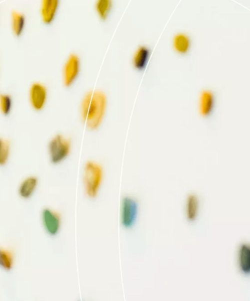 Unschärfeaufnahme einer hellen Wand mit bunten Klettergriffen.