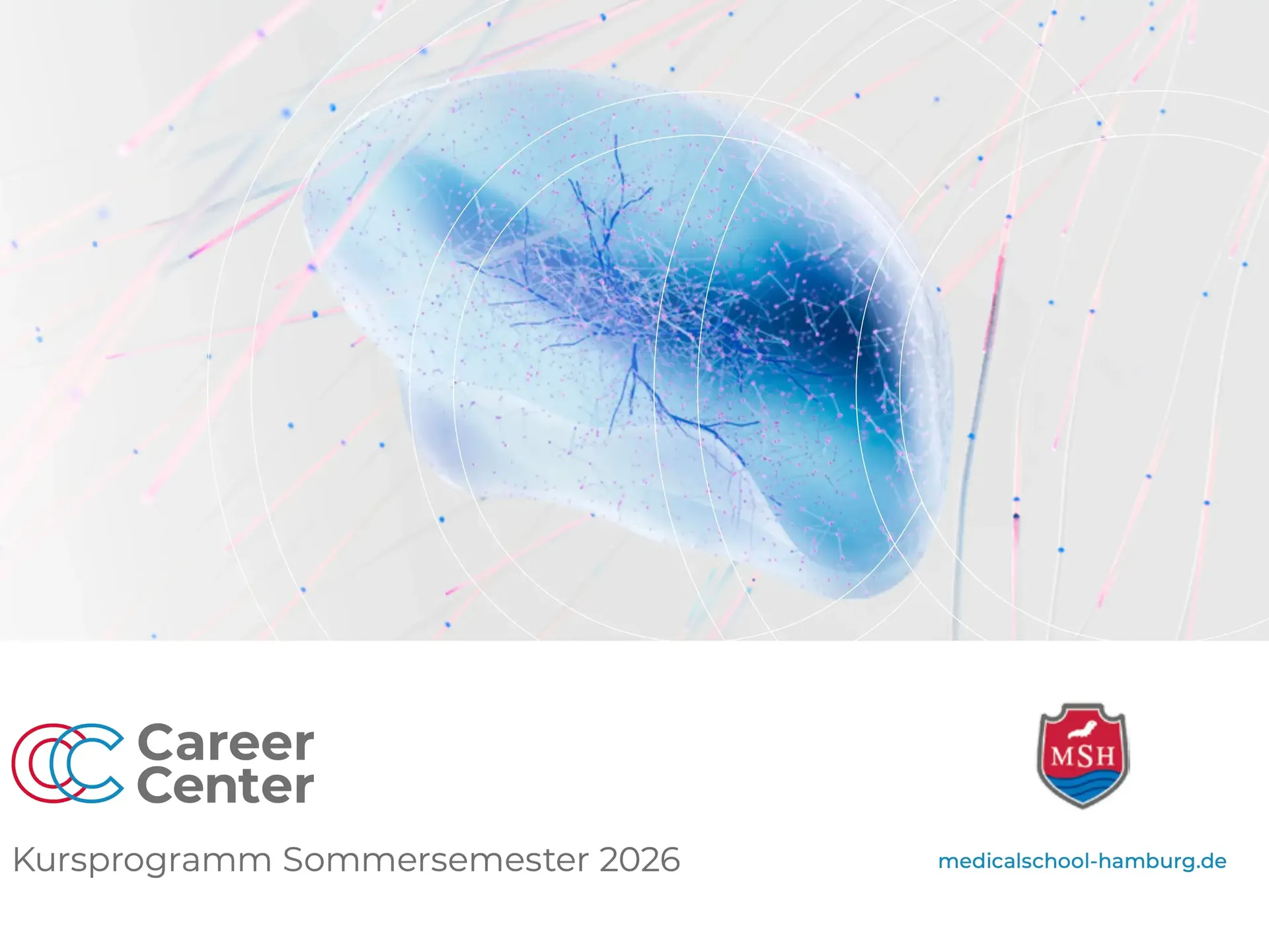 MSH Kursprogramm CareerCenter