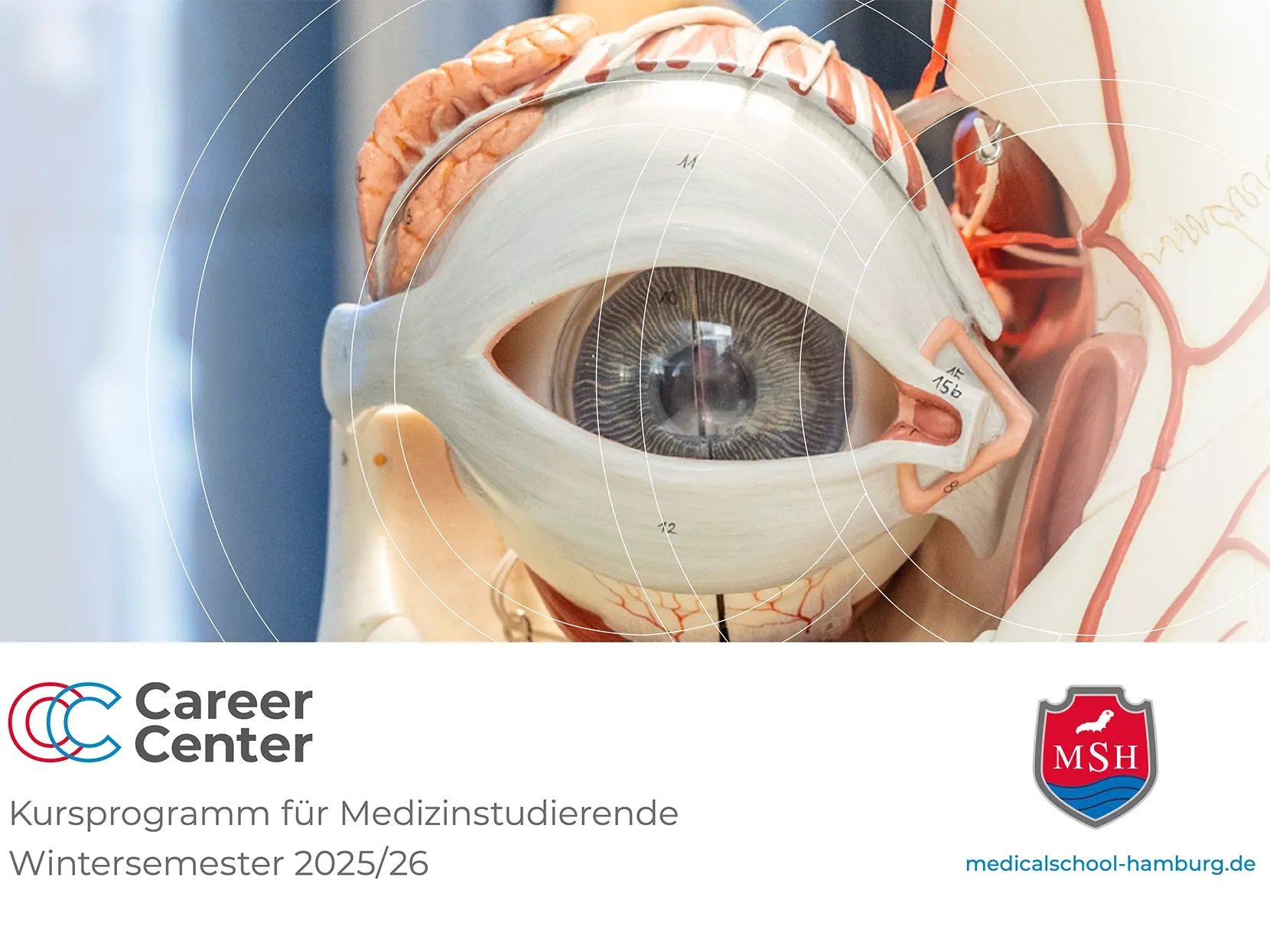 MSH Kursprogramm für Medizinstudierende CareerCenter